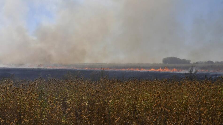 Incendios en el país