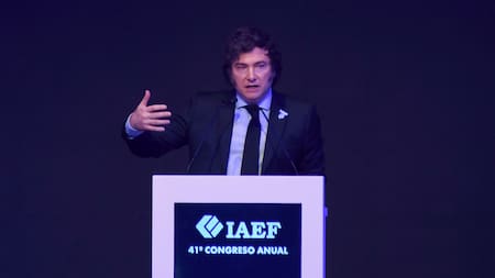 Javier Milei habló en el cierre del 41° Congreso Anual del IAEF. Foto: NA.