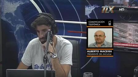 Alberto Maceira, Presidente del INCUCAI