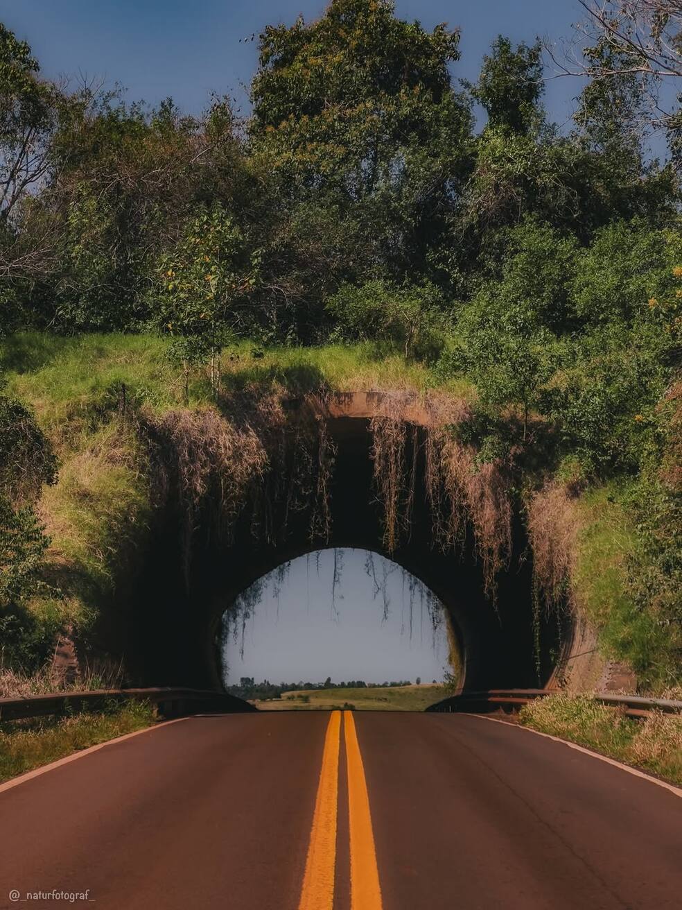 1312 Ruta Tránsito: qué rutas nacionales transferirá el Gobierno a las provincias ...