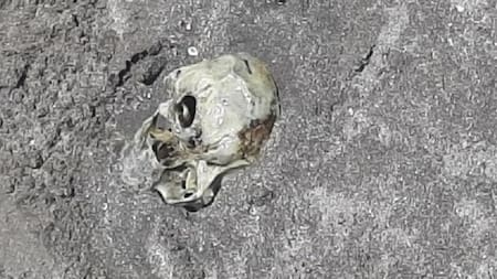 Cráneo humano enterrado en una de las playas de Mar del Plata. NA