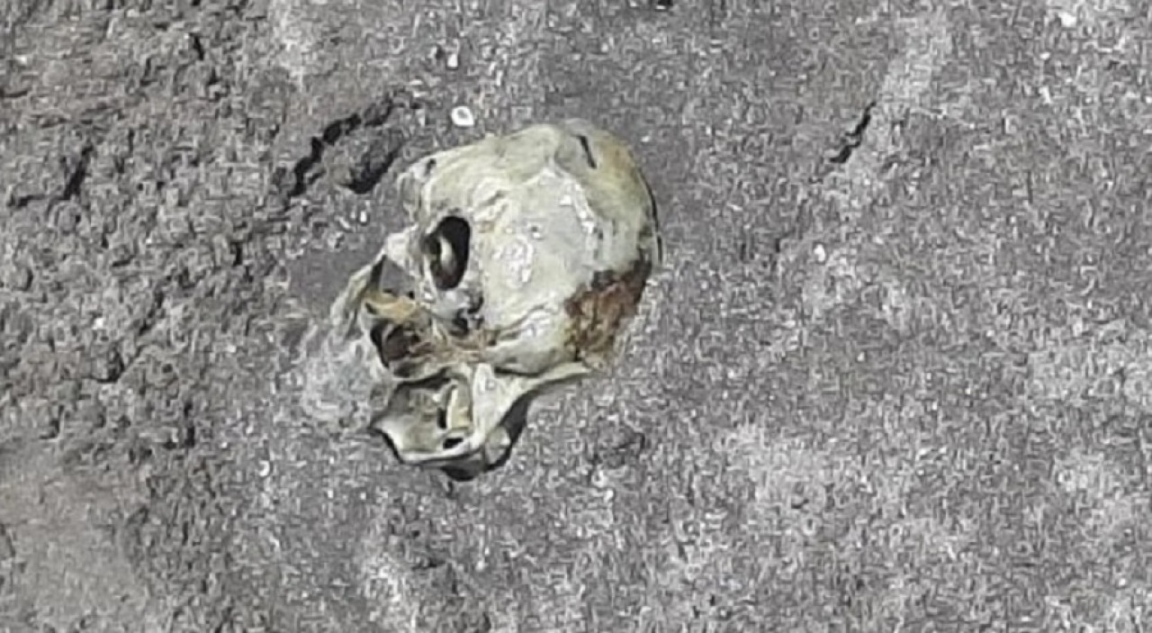Cráneo humano enterrado en una de las playas de Mar del Plata. NA