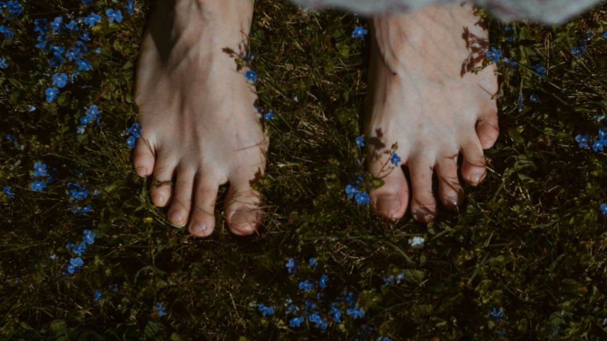Pies. Foto: Unsplash