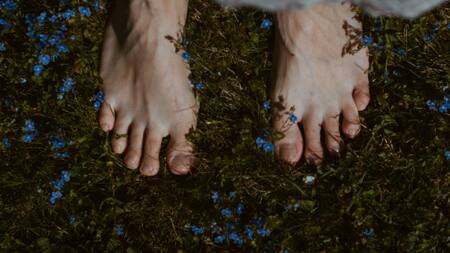 Pies. Foto: Unsplash