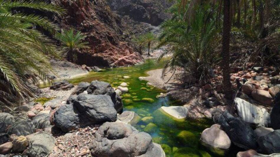 Islas de Socotra, Foto Getty Images