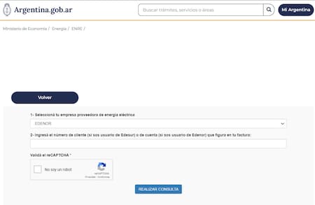 Subsidio de luz y gas. Foto: captura