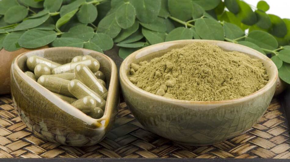 Las hojas de moringa oleifera se utilizan frescas o molidas en polvo. Foto: Pinterest.