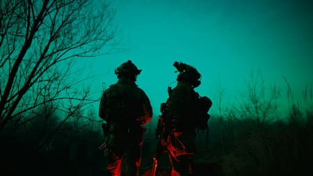 La tecnología CRISPR trabaja a partir de las moléculas de ARN