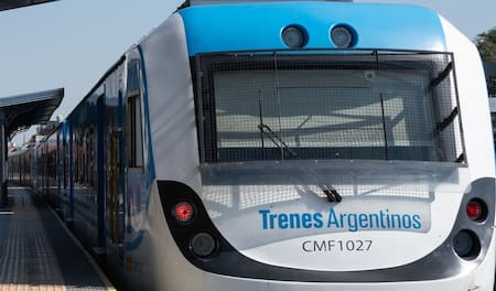 Tren Belgrano Sur.