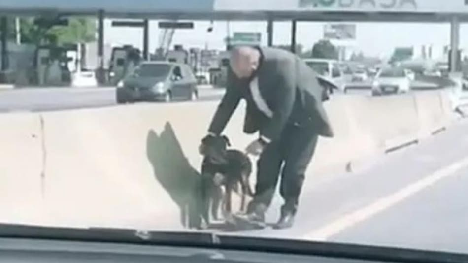 Perrito rescatado en autopista, captura video