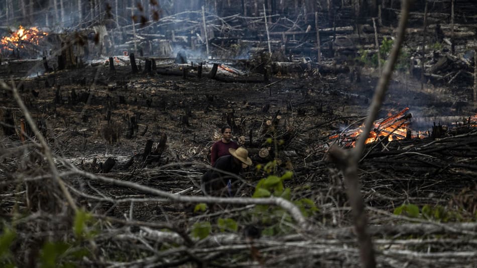 Deforestación en la Amazonía. Foto: EFE
