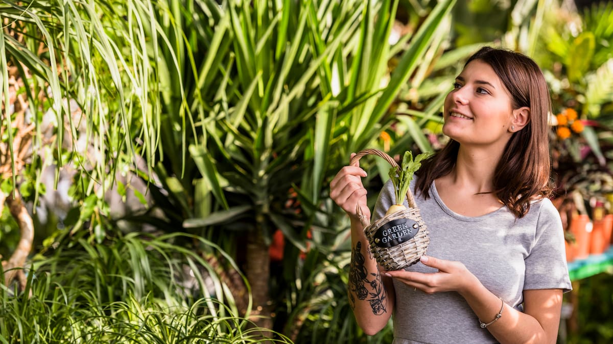Cuáles son las plantas que ayudan a predecir el clima.