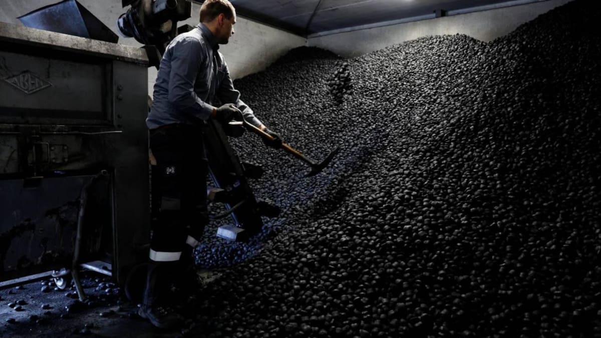 Foto Reuters Holanda carbón y la madera para el invierno