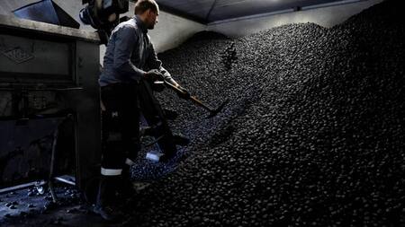 Foto Reuters Holanda carbón y la madera para el invierno