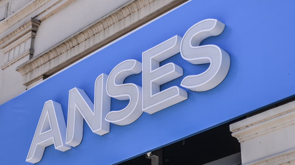 ANSES. Foto: NA