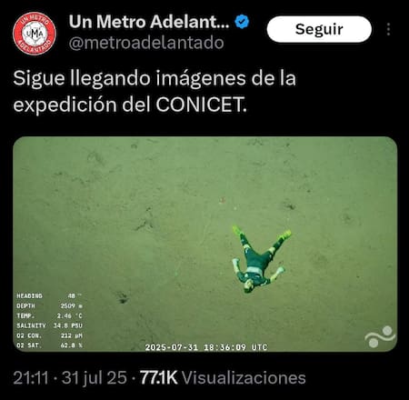 Memes del stream del CONICET que causa furor.