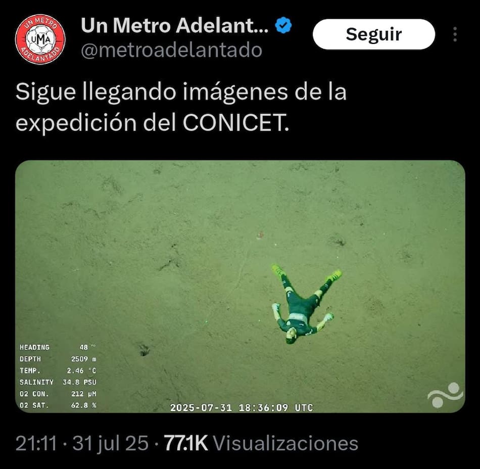 Memes del stream del CONICET que causa furor.