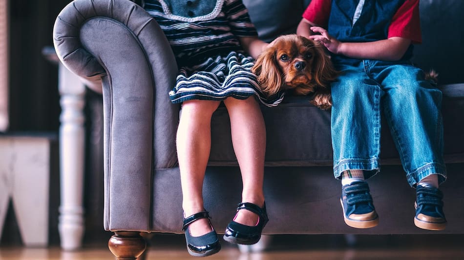Acariciar a un perro reduce el cortisol, hormona asociada al estrés. Foto: Pixabay.