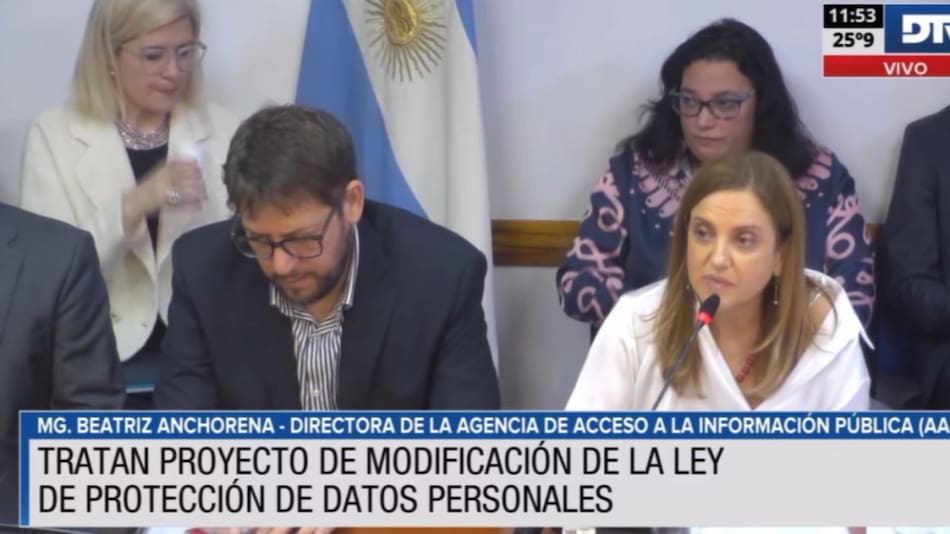 Debate en Diputados para modificar Ley de Protección de Datos Personales. Foto: Captura de video.