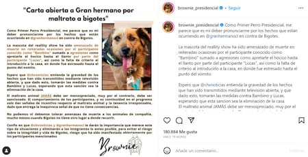 La mascota presidencial chilena lanzó un comunicado por el maltrato animal en Gran Hermano Chile. Foto: Instagram.