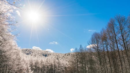 Un cambio silencioso: cuántos minutos de sol se ganan por día tras el solsticio de invierno y por qué sucede