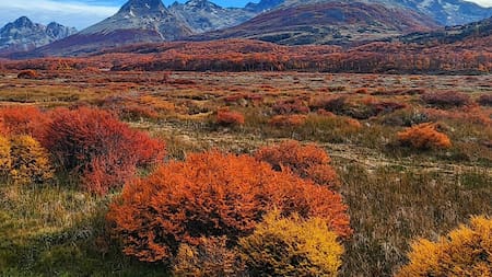 Valle de Tierra Mayor, atracción turística de Tierra del Fuego. Foto: Instagram/tierramayor.
