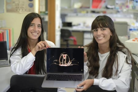 Descubren medusa "inmortal"_EFE