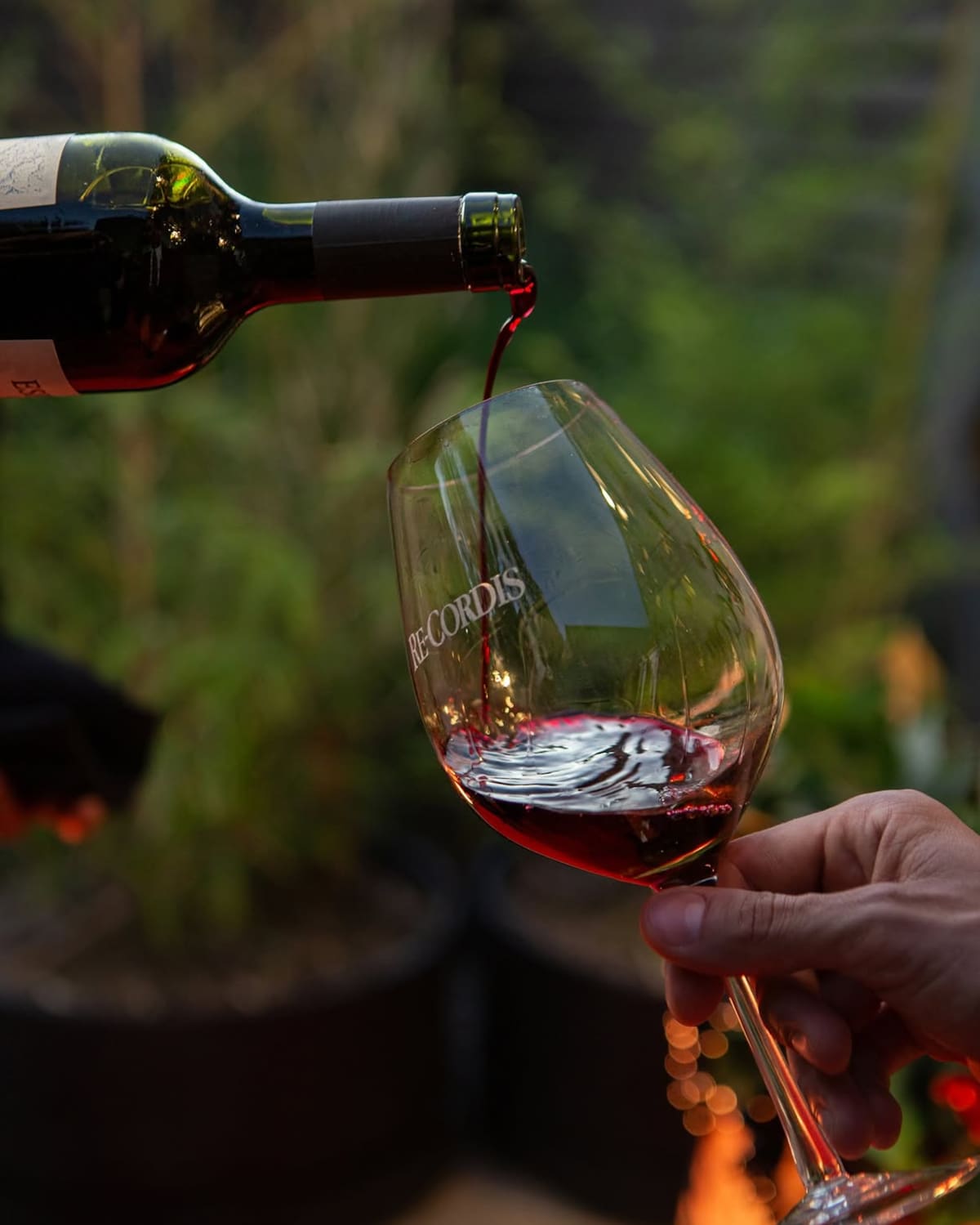 Recordis Wines de Luciano Pereyra
