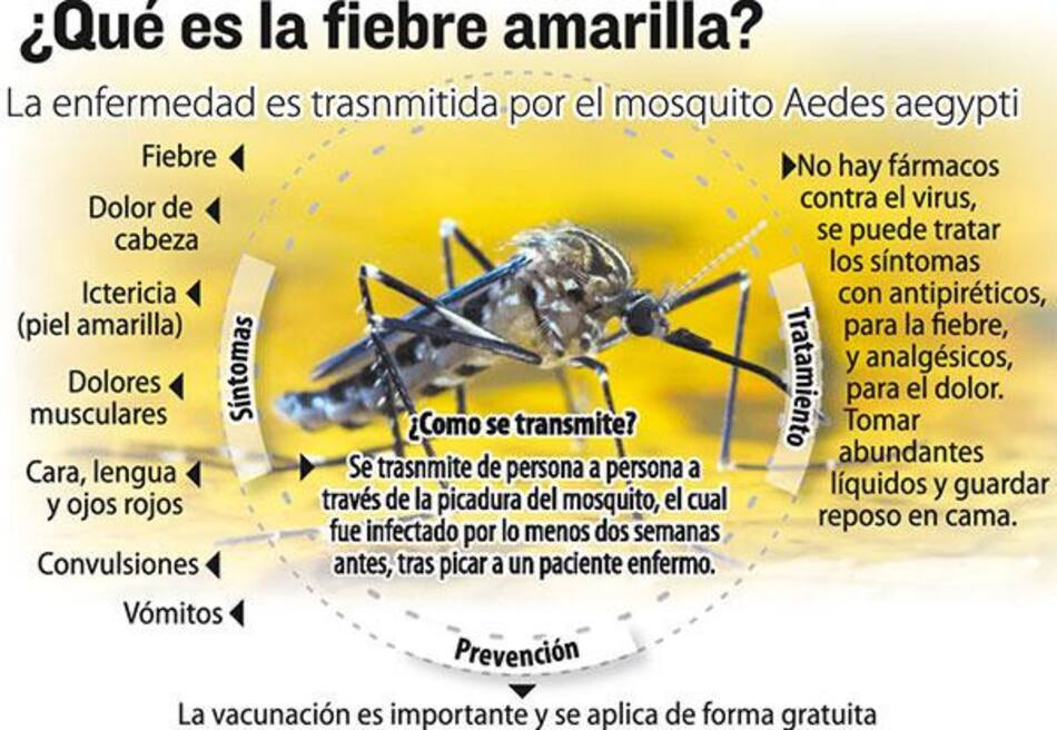 Salud - fiebre amarilla
