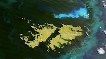 Sin precedentes: Islas Malvinas y el descubrimiento que podría cambiar por completo la historia