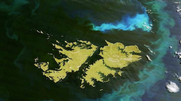 Islas Malvinas: científicos de la NASA lograron descifraron el fenómeno de las aguas turquesa