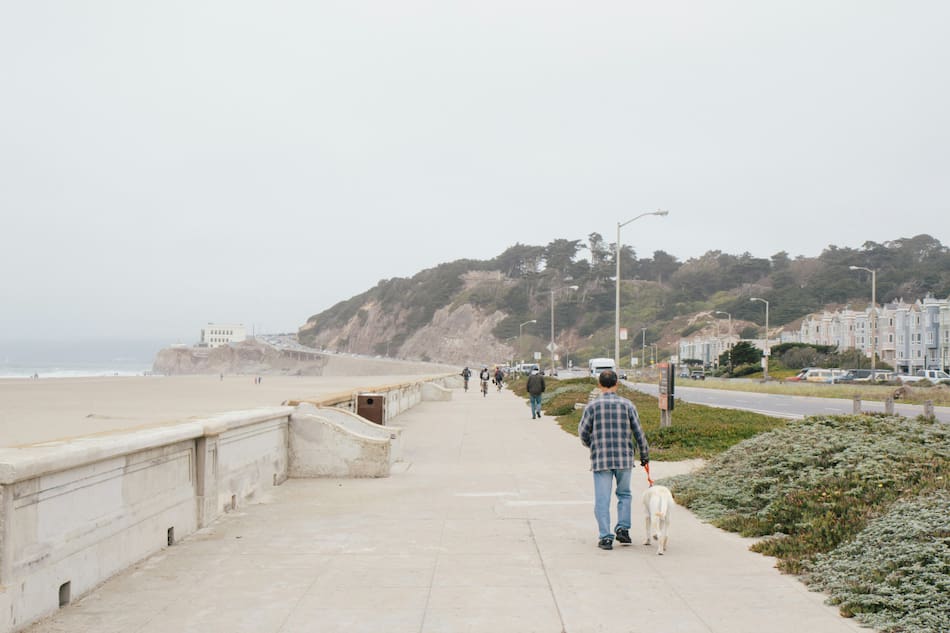 Los beneficios de sacar a pasear al perro. Foto: Unsplash.