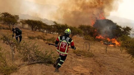 Incendios en Chile. Foto: REUTERS.