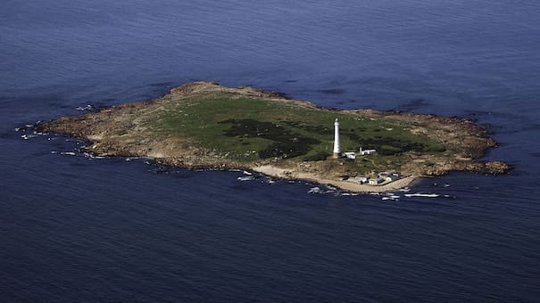 Isla de Lobos: el "paraíso marino" de Punta del Este donde se puede bucear con lobos marinos