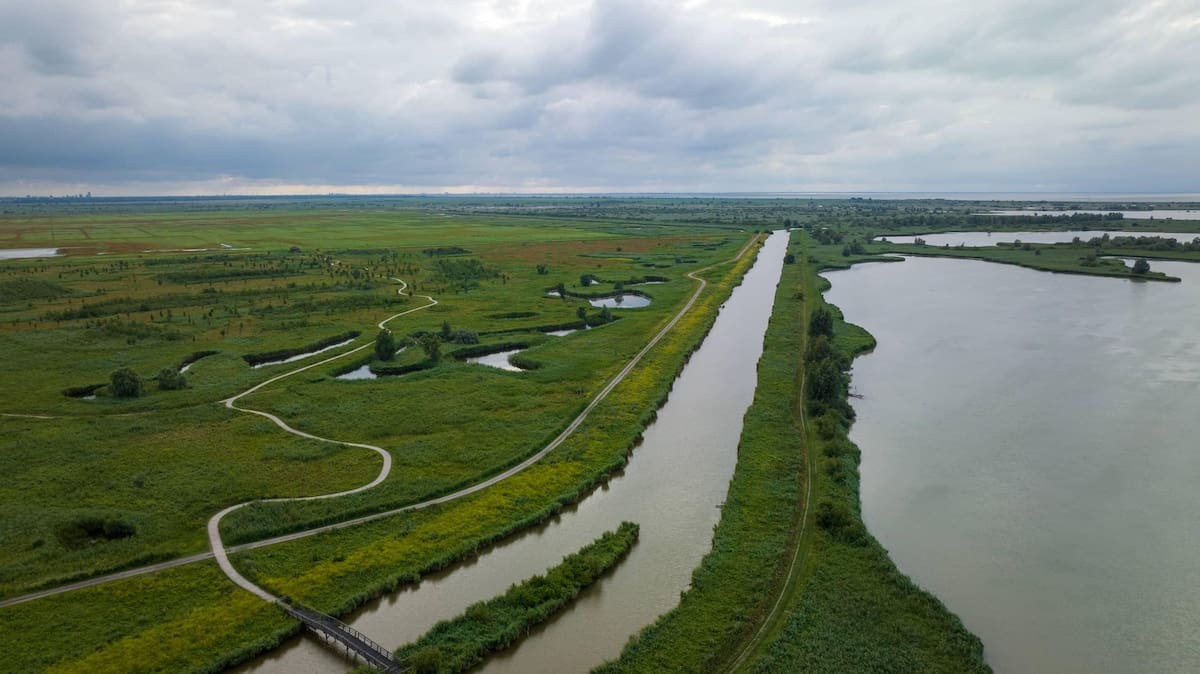 Paisaje natural de la reserva Oostvaardersplassen en Países Bajos.