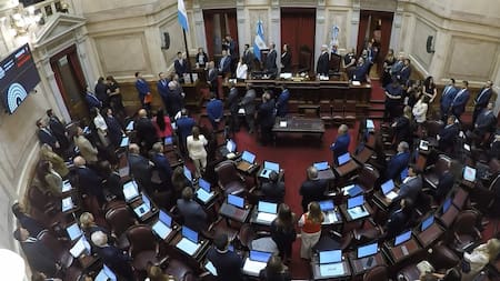 EN VIVO | En medio de protestas, el Senado debate la Reforma Laboral y el Régimen Penal Juvenil