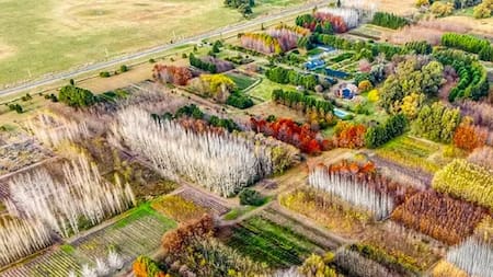 Ni Tigre ni San Pedro: el paraíso de los viveros en Buenos Aires está en este pueblito que aman los jubilados