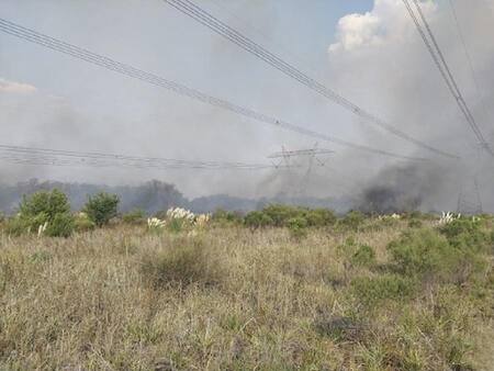 Gigantesco apagón dejó sin energía a media Argentina fue provocado por un incendio. NA