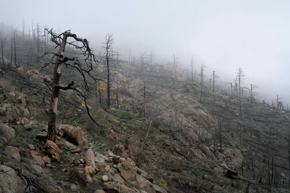 Incendios forestales. Foto Unsplash.