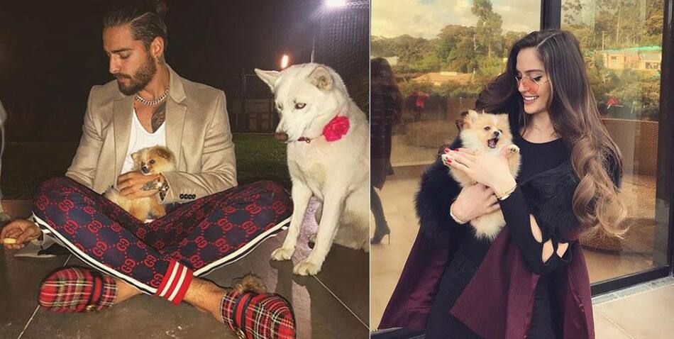 Maluma y Natalia Barulich junto a sus perros