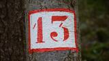 Martes 13 en mayo: tres rituales ideales para alejar a la mala suerte