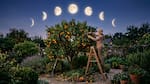 Calendario lunar de marzo 2026: cuáles son los mejores días para podar árboles frutales y favorecer su crecimiento