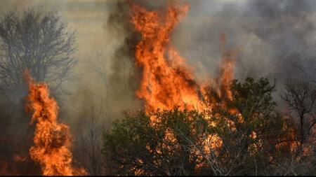 Incendios en Córdoba. Foto/X: @gobdecordoba