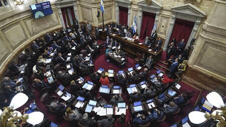 Senado - votación aborto Agencia NA