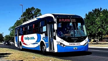 Une dos puntos clave de Buenos Aires y es un histórico del AMBA: el colectivo con el recorrido más largo