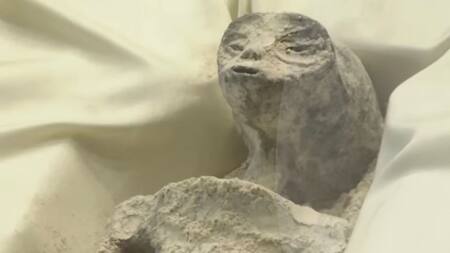 Vida extraterrestre. Foto: captura