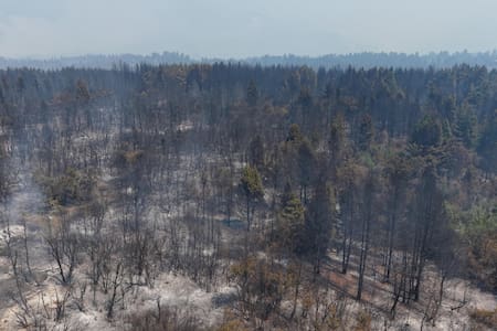 Incendios forestales en El Bolsón, Río Negro. Foto: EFE.