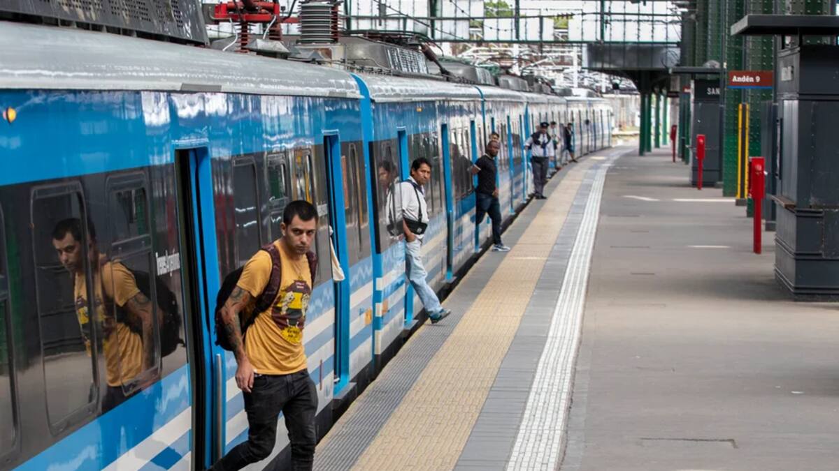 Tren Roca, trenes.
