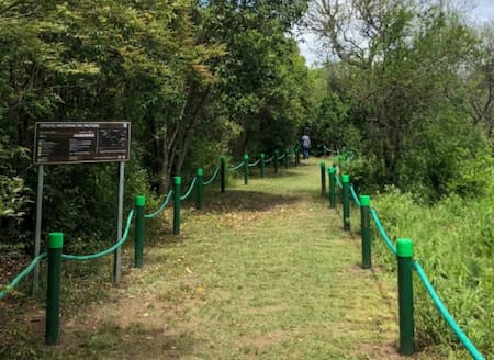 Parque Nacional Ciervo de los Pantanos. Foto: Argentina La Ruta Natural