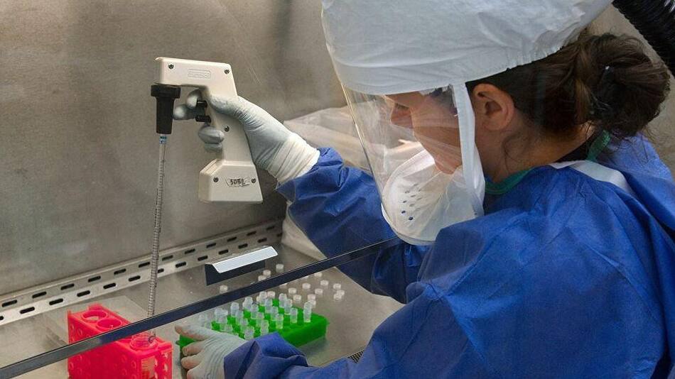 Científicos australianos, coronavirus